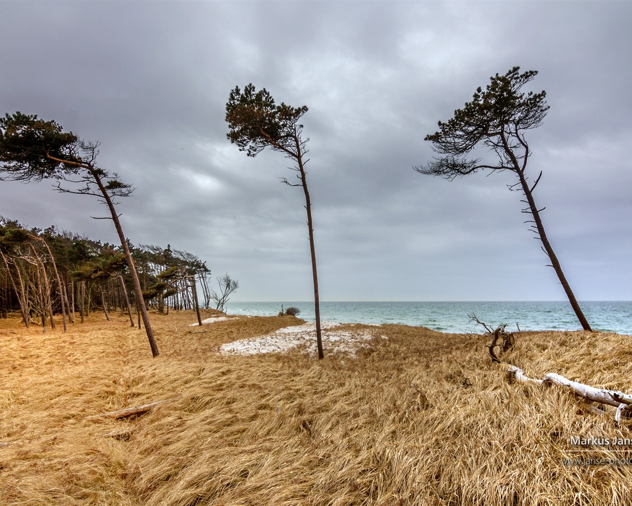 독일의 아름다운 해안 풍경, 윈도우 8의 HD 배경 화면 #18 - 1280x1024
