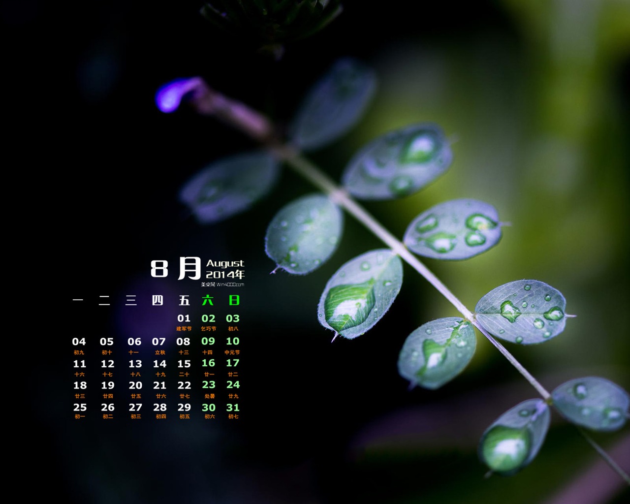 August 2014 calendar wallpaper (1) #9 - 1280x1024