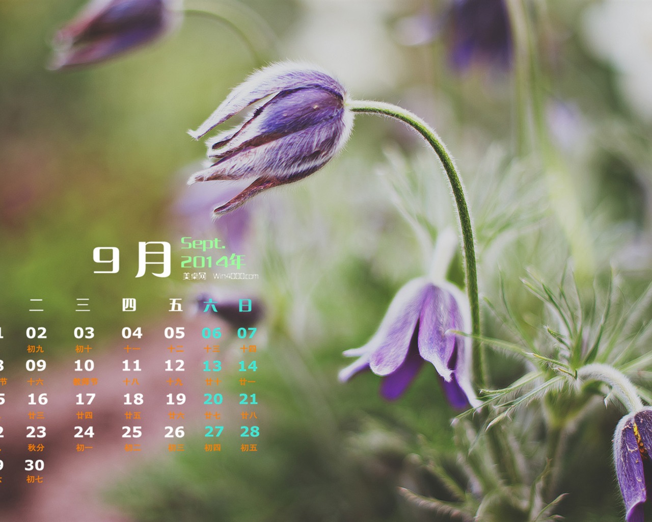 09. 2014 Kalendář tapety (1) #17 - 1280x1024