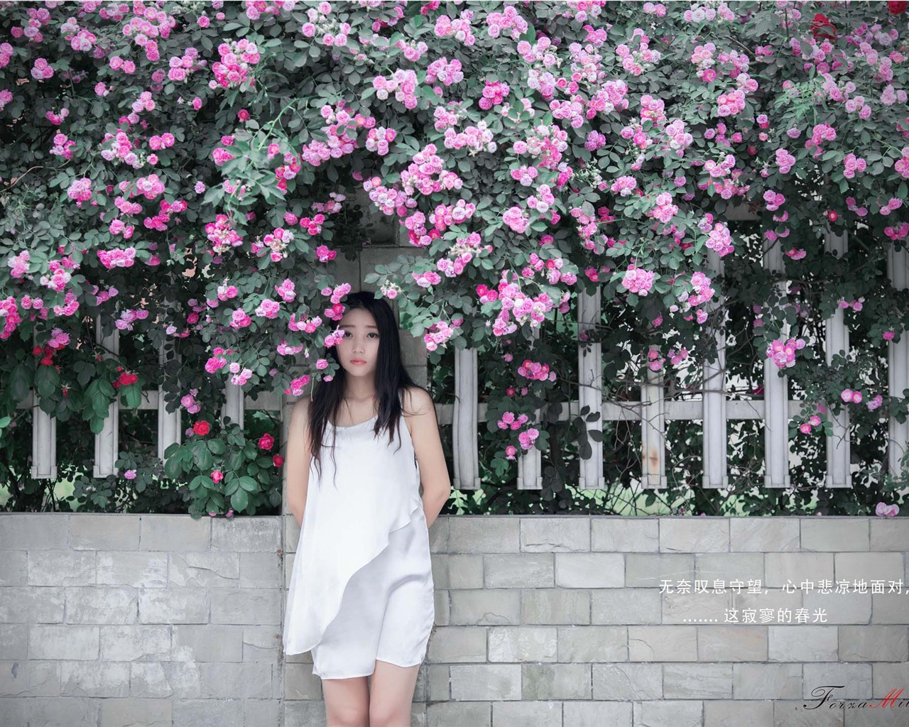 Belle fille avec des roses fleurs fonds d'écran HD #7 - 1280x1024