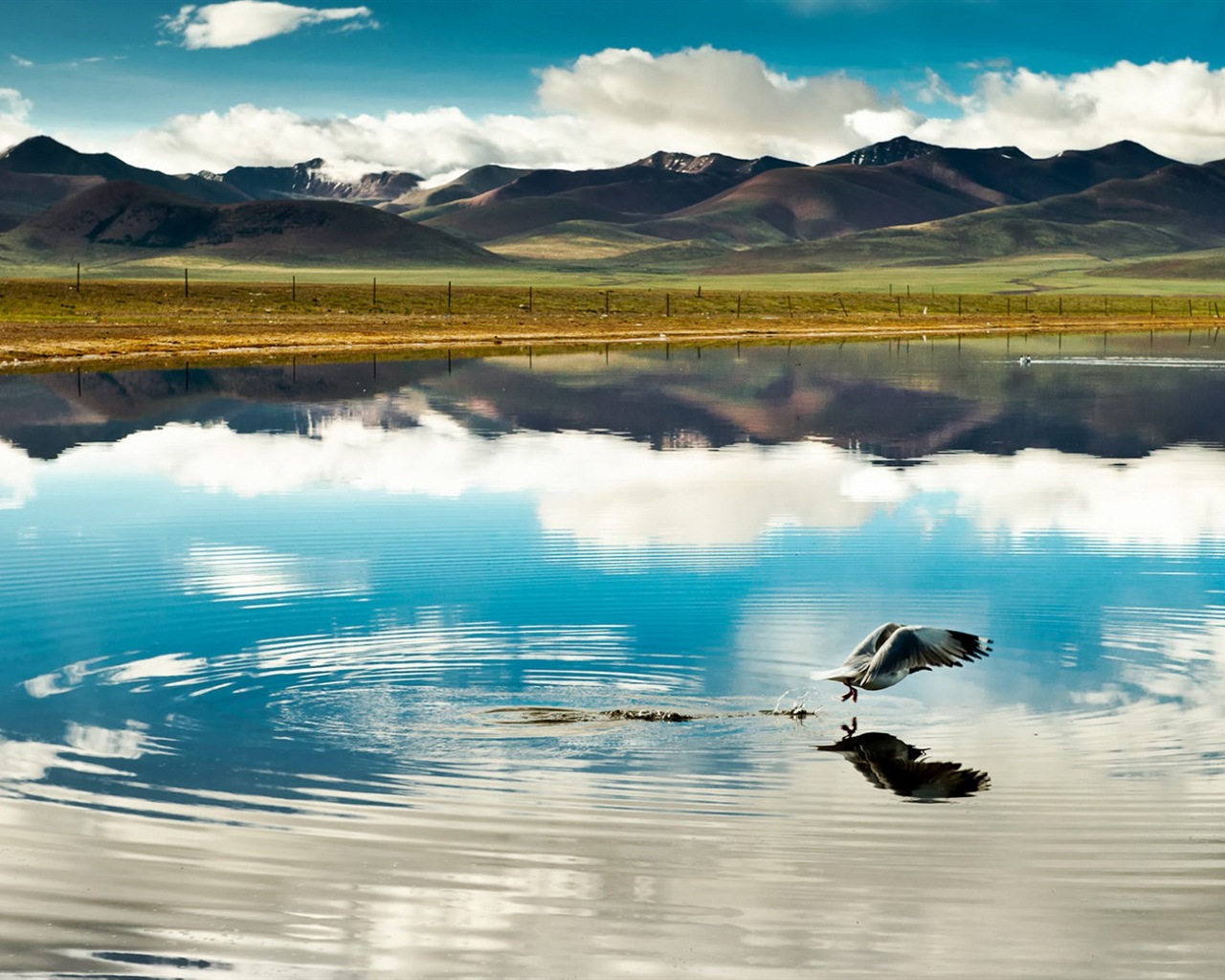 Plateau Qinghai beau fond d'écran de paysage #2 - 1280x1024