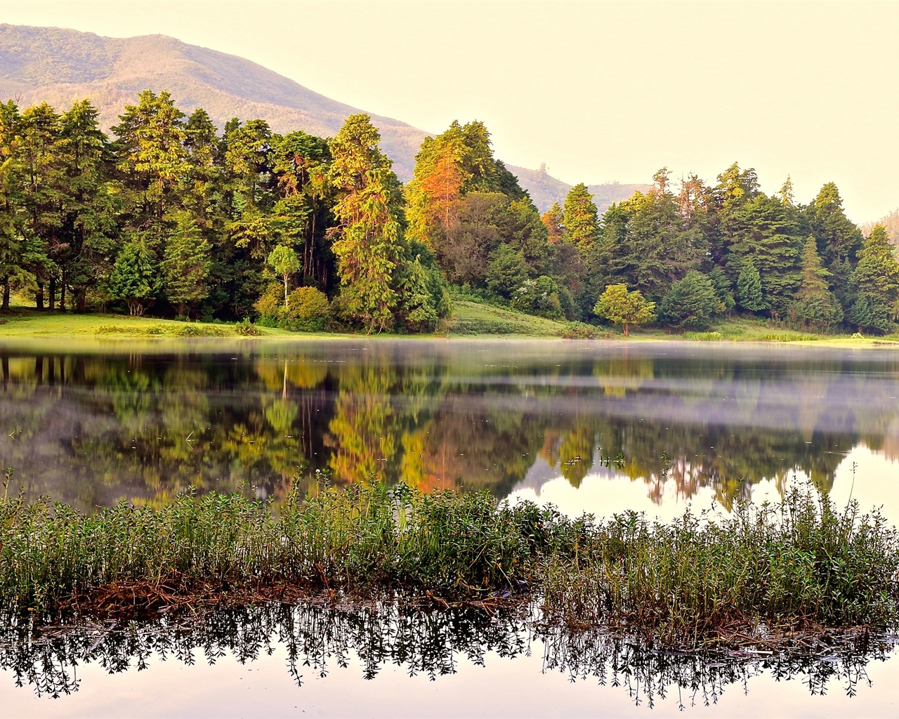 Sunshine lagos forestales belleza de la naturaleza HD papel tapiz #14 - 1280x1024