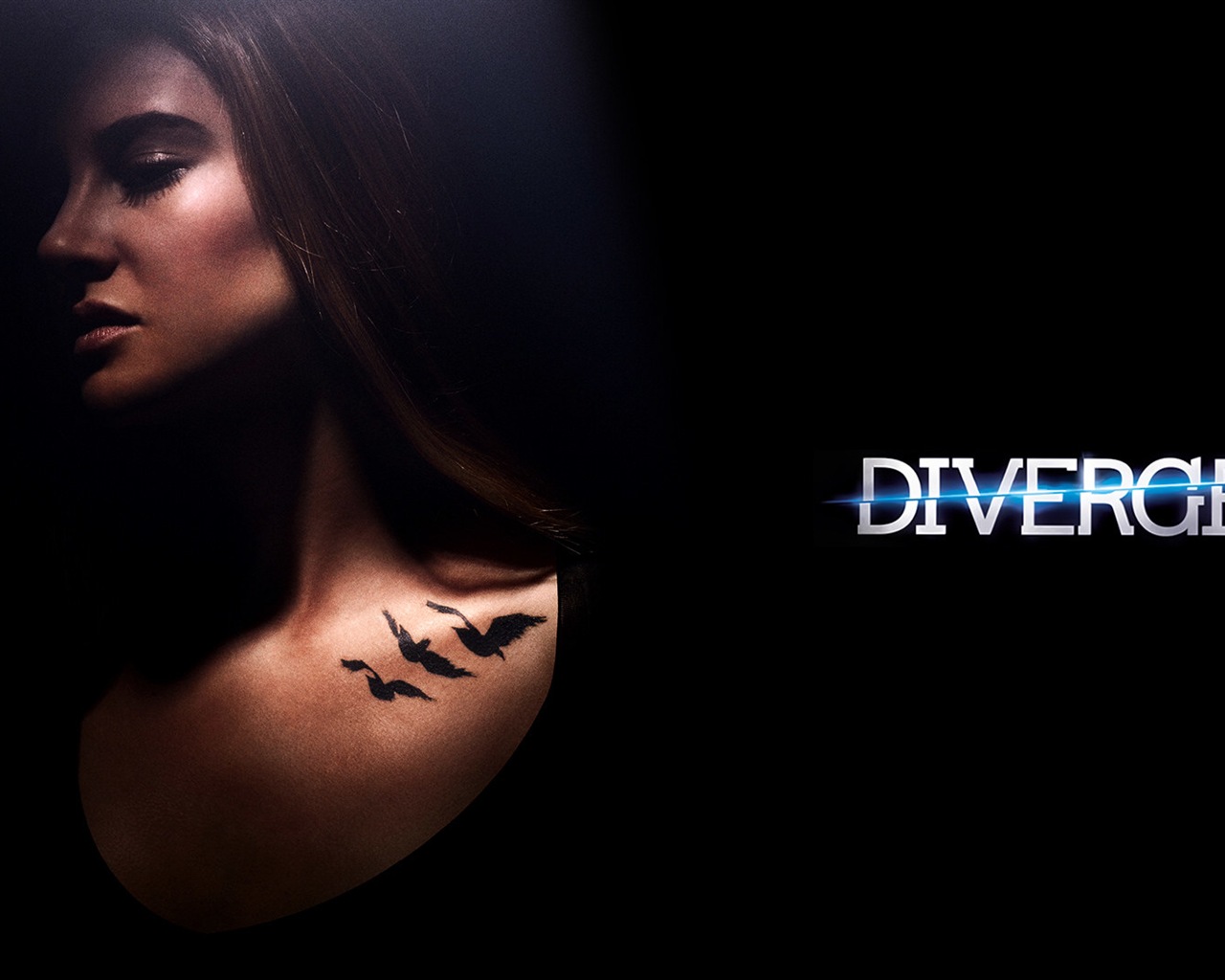 Divergent movie HD wallpapers #7 - 1280x1024