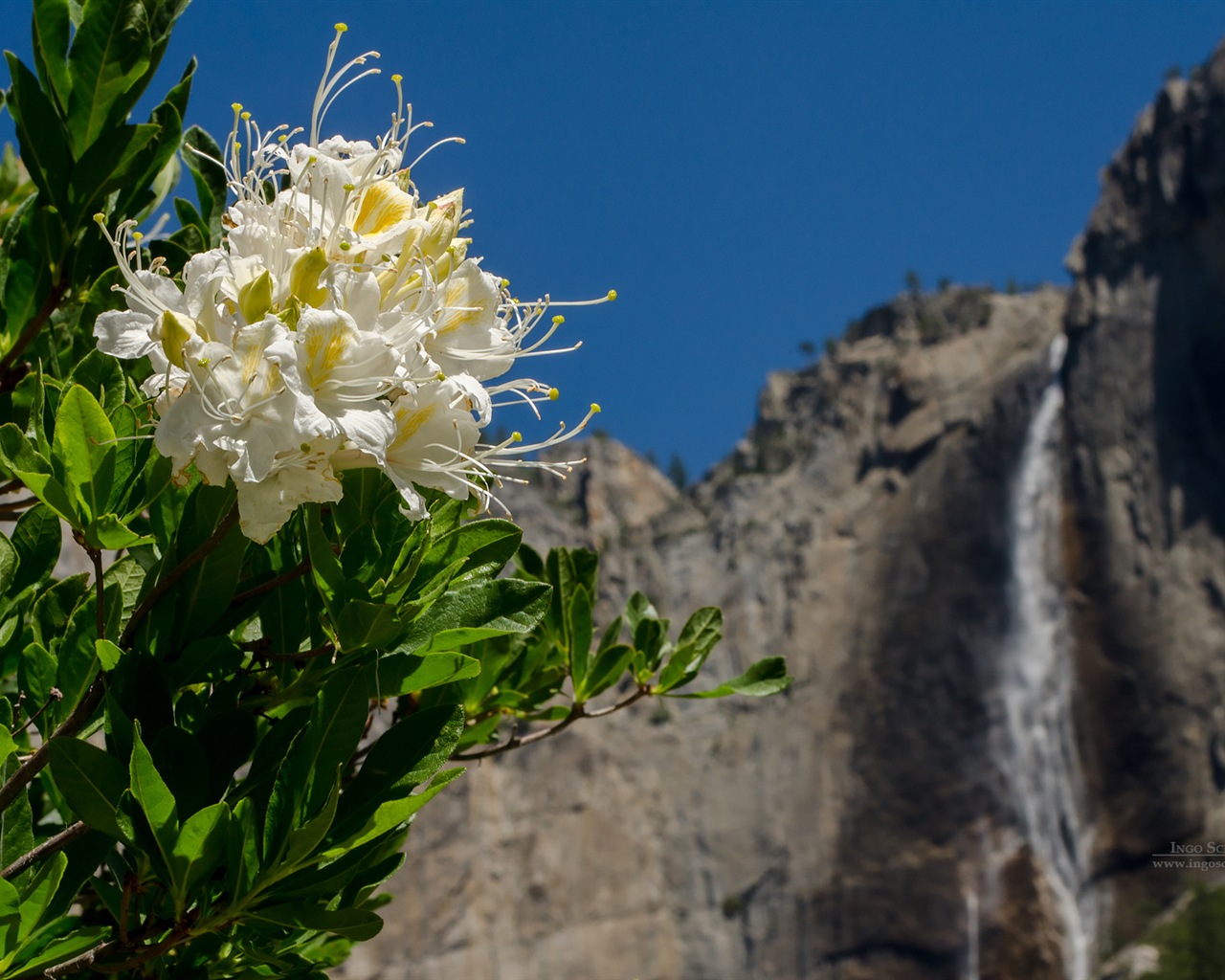 Windows 8 theme, Yosemite National Park HD wallpapers #4 - 1280x1024