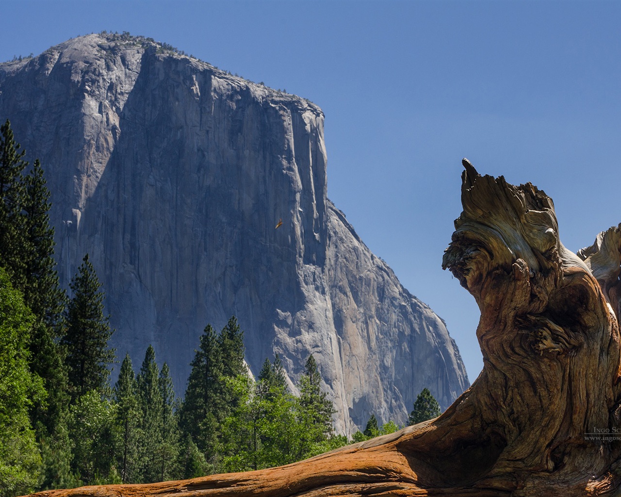 Windows 8 thème, Parc national de Yosemite fonds d'écran HD #10 - 1280x1024