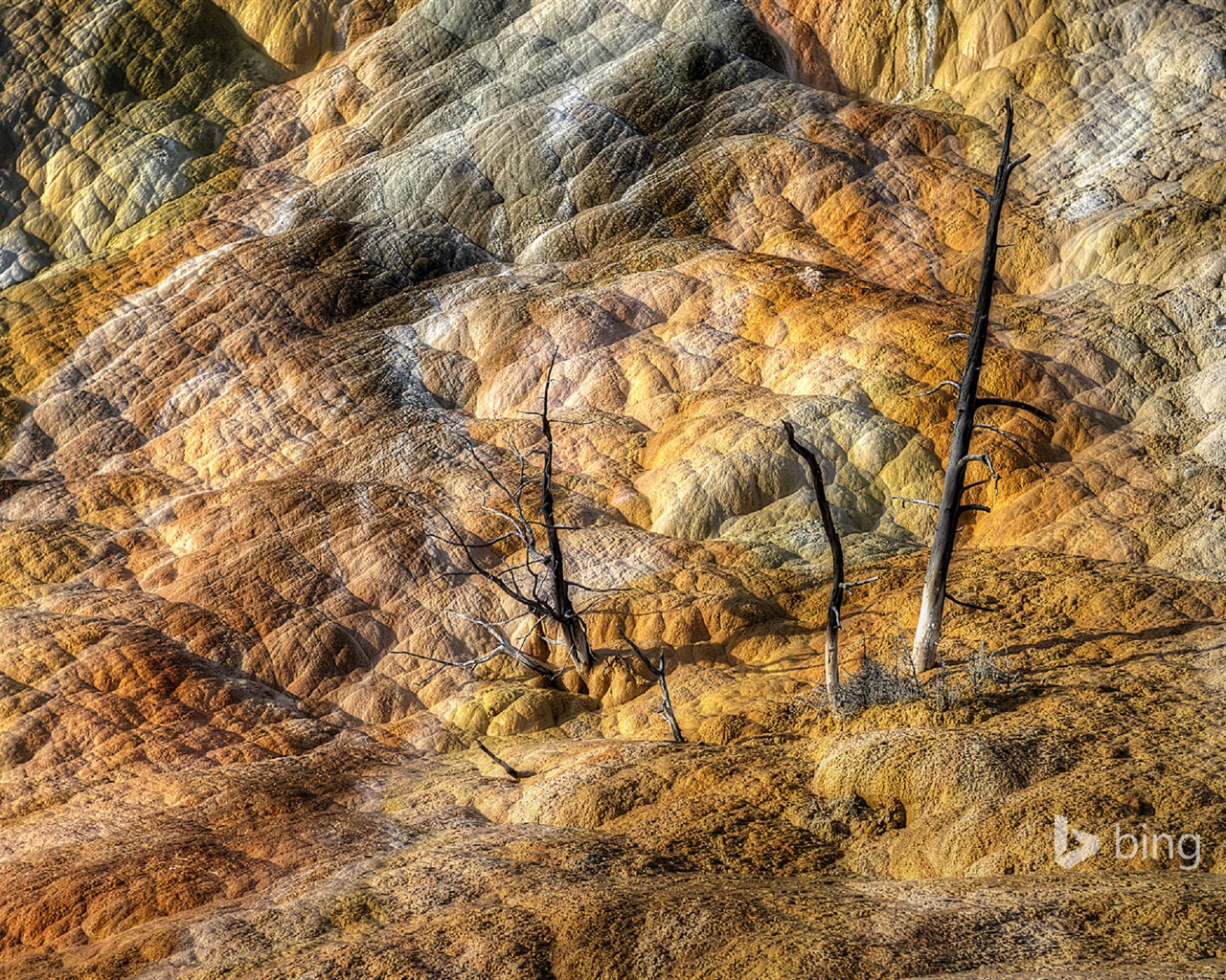 Oktober 2014 Bing Landschaft HD Wallpaper #17 - 1280x1024