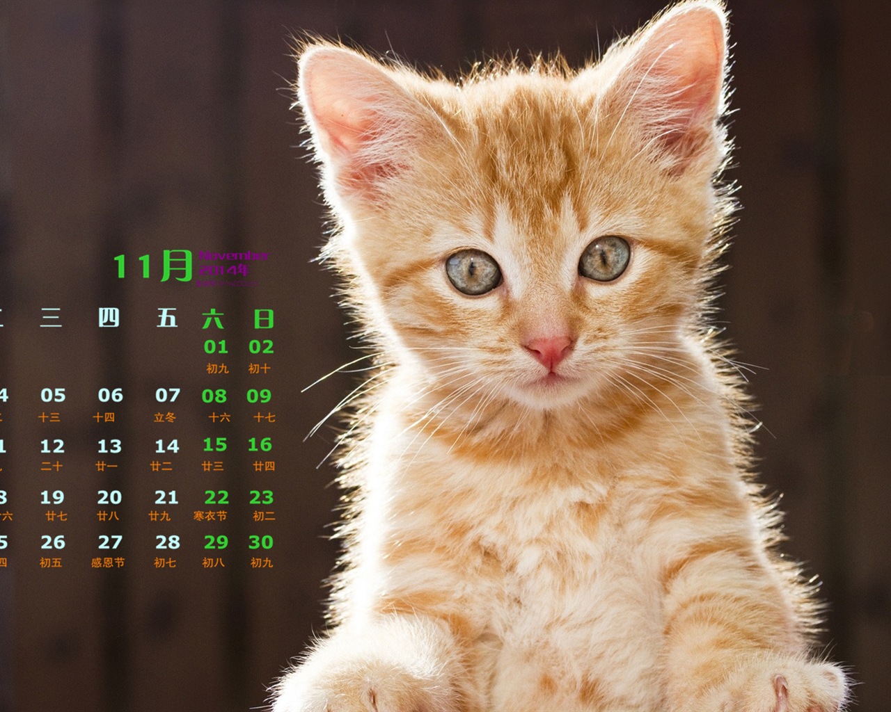 Ноябрь 2014 Календарь обои (1) #5 - 1280x1024