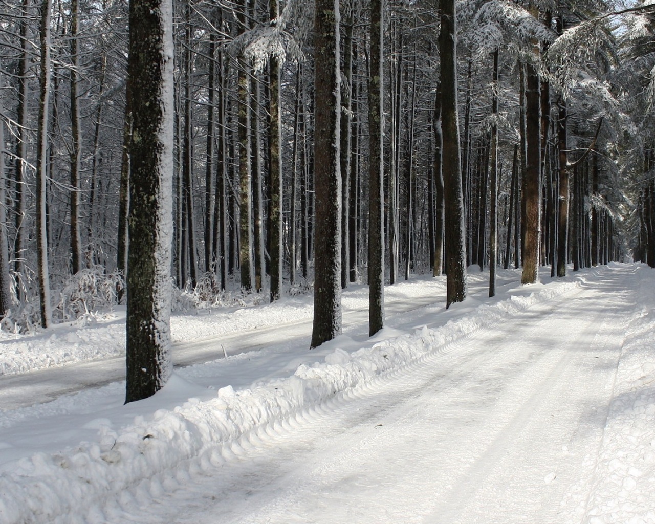 冬天的雪景，山，湖，树木，道路 高清壁纸3 - 1280x1024