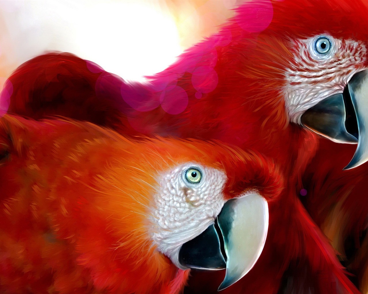 Macaw close-up fonds d'écran HD #28 - 1280x1024