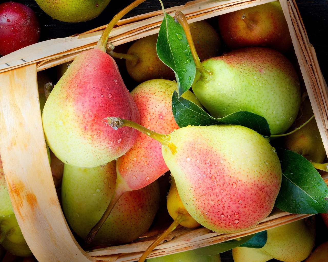 Succulent fruit, pears close-up HD wallpapers #1 - 1280x1024