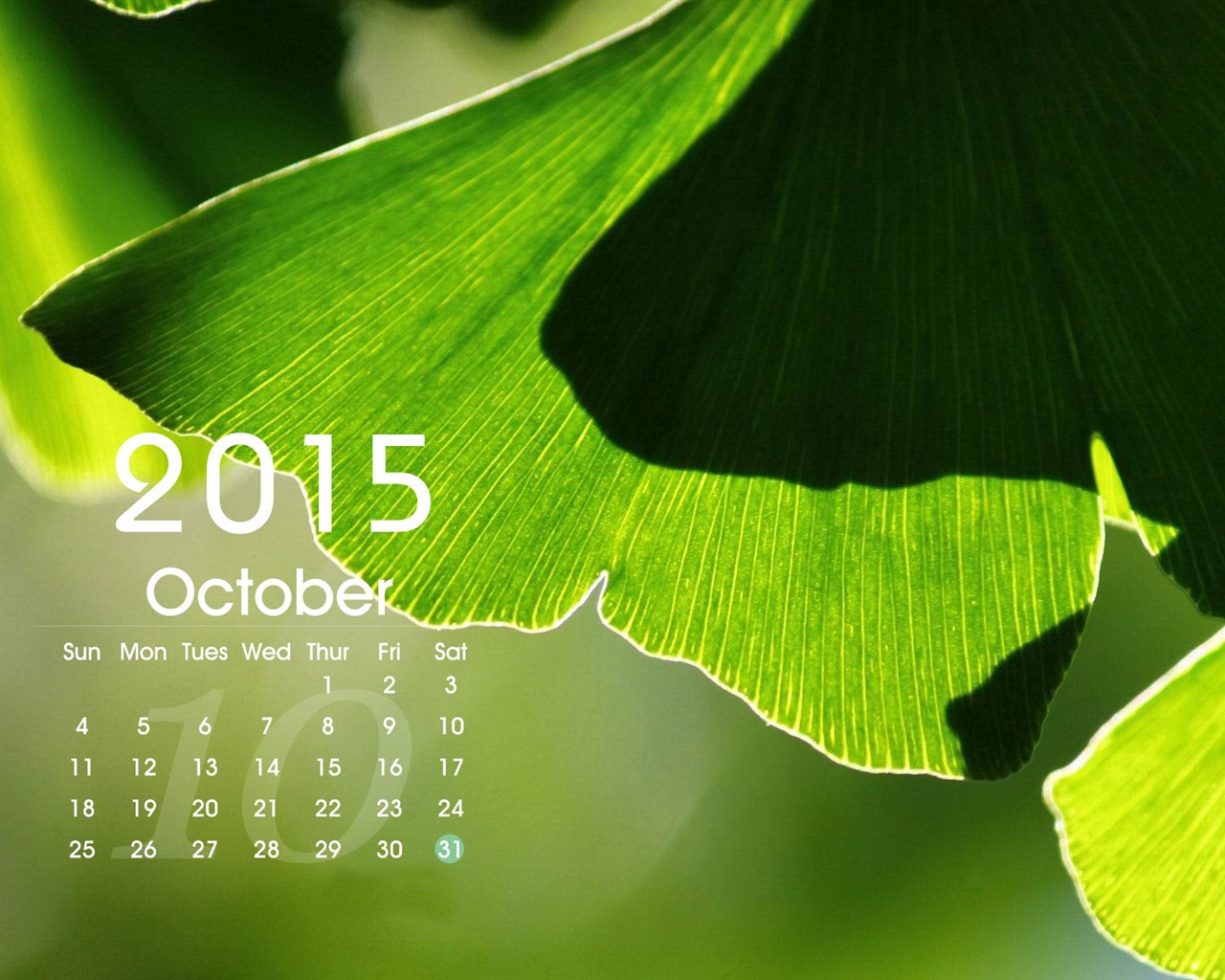 Kalender 2015 HD Wallpaper #15 - 1280x1024