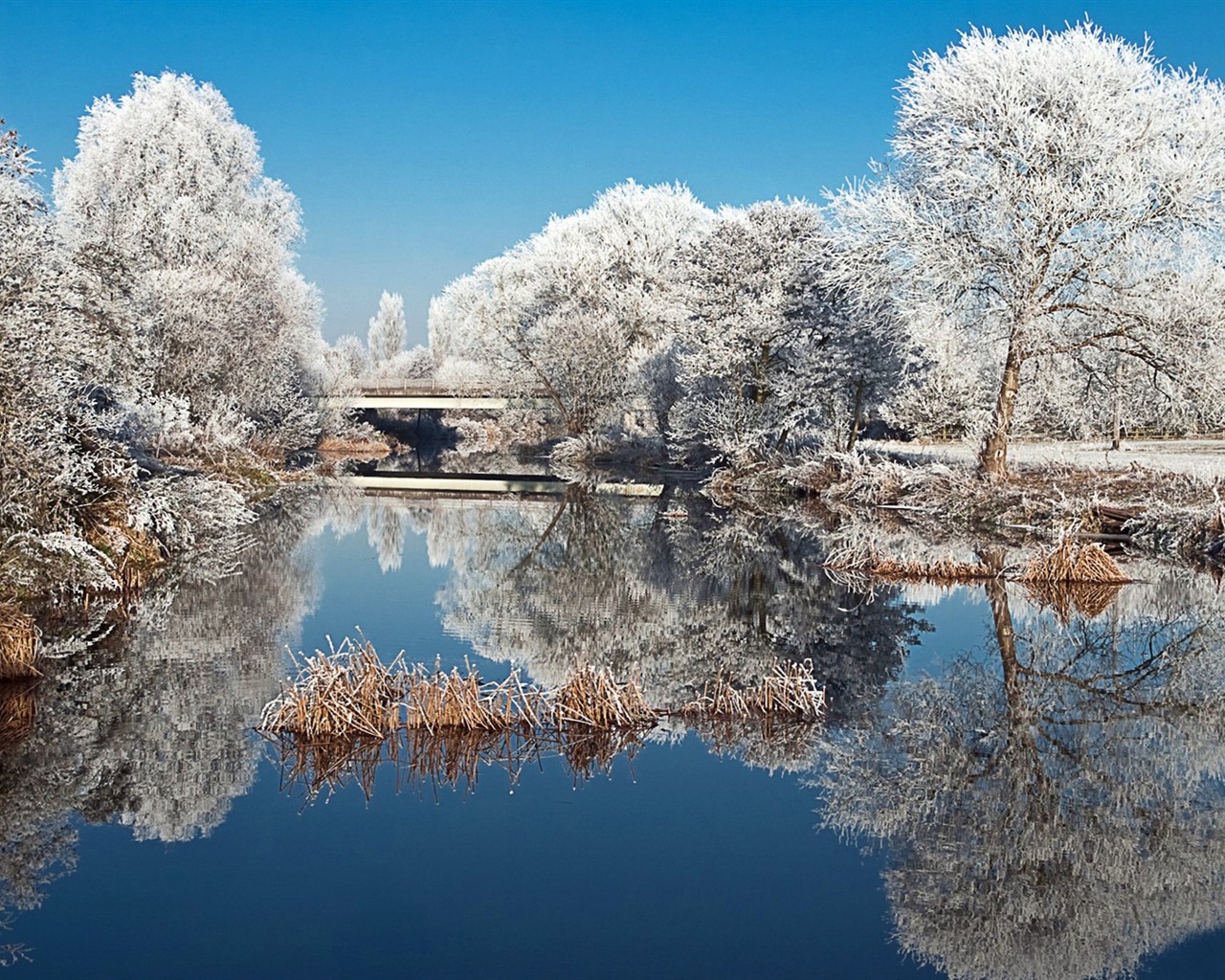 La nieve del invierno fondos de pantalla HD hermoso paisaje #2 - 1280x1024
