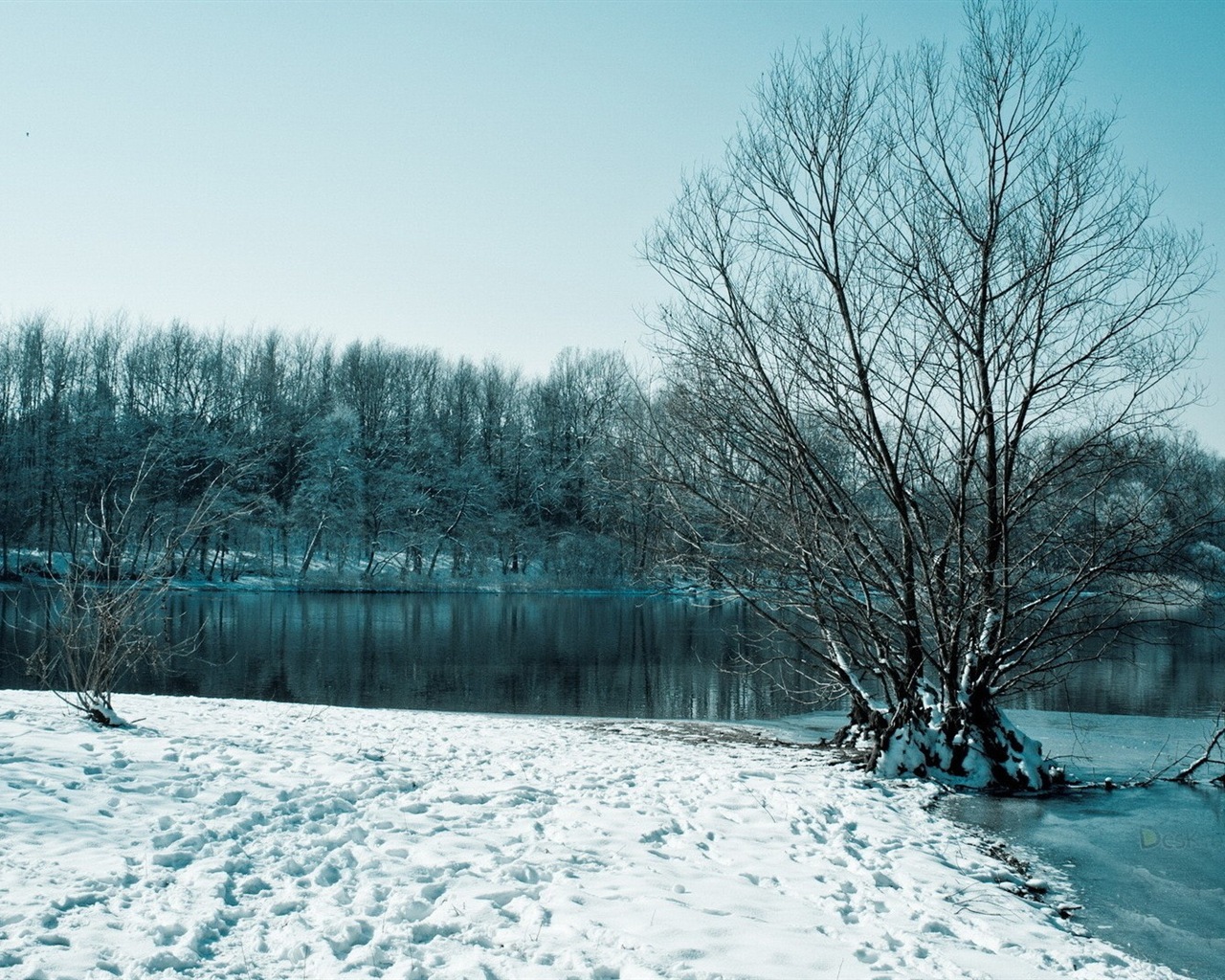 冬の雪の美しい風景のHDの壁紙 #6 - 1280x1024