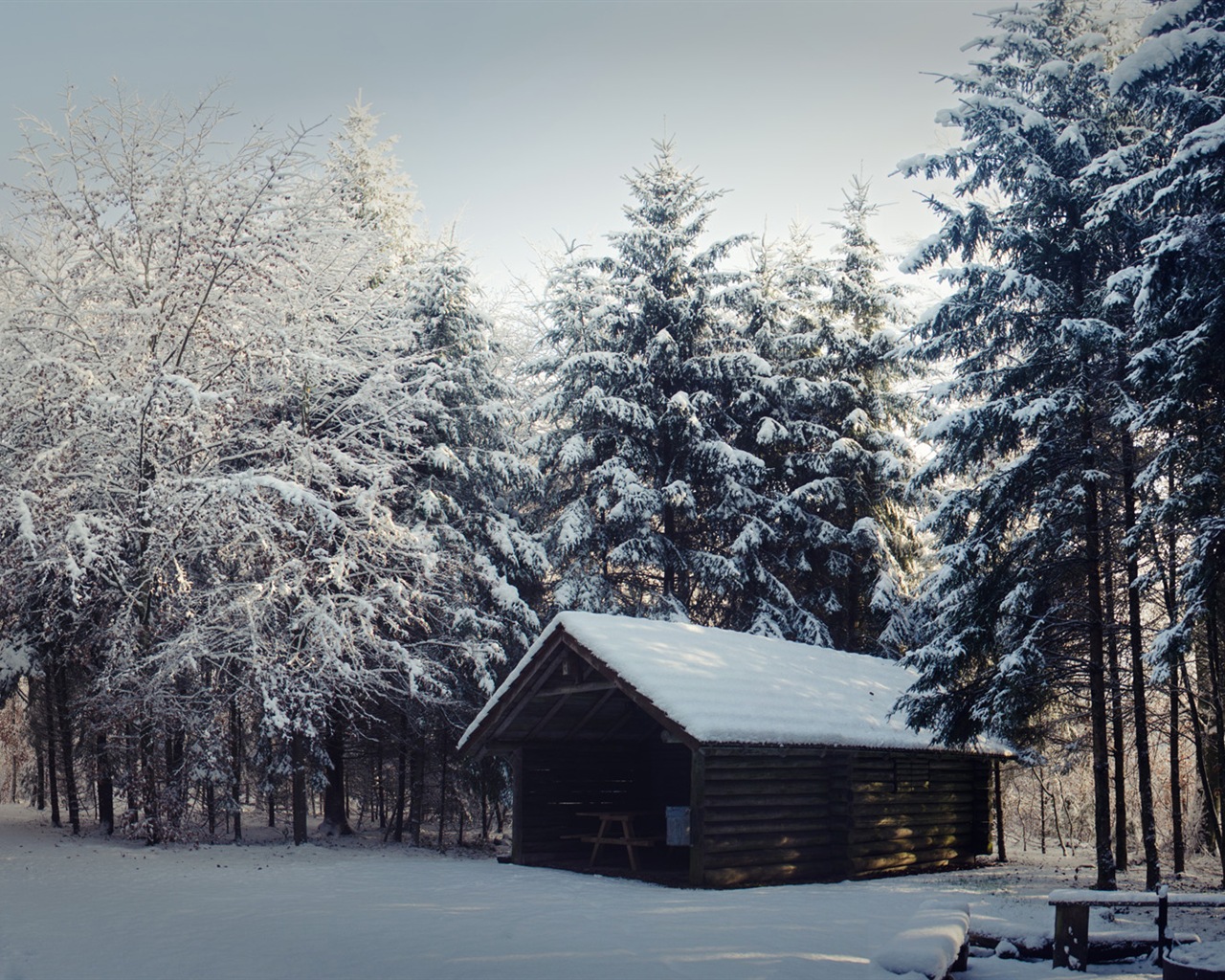 冬の雪の美しい風景のHDの壁紙 #12 - 1280x1024