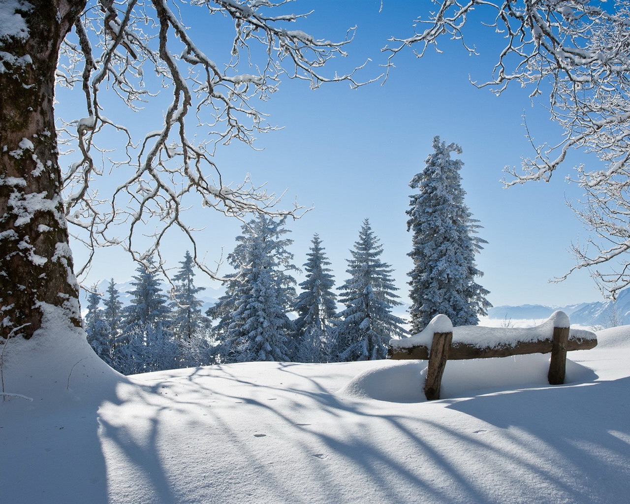 冬の雪の美しい風景のHDの壁紙 #13 - 1280x1024