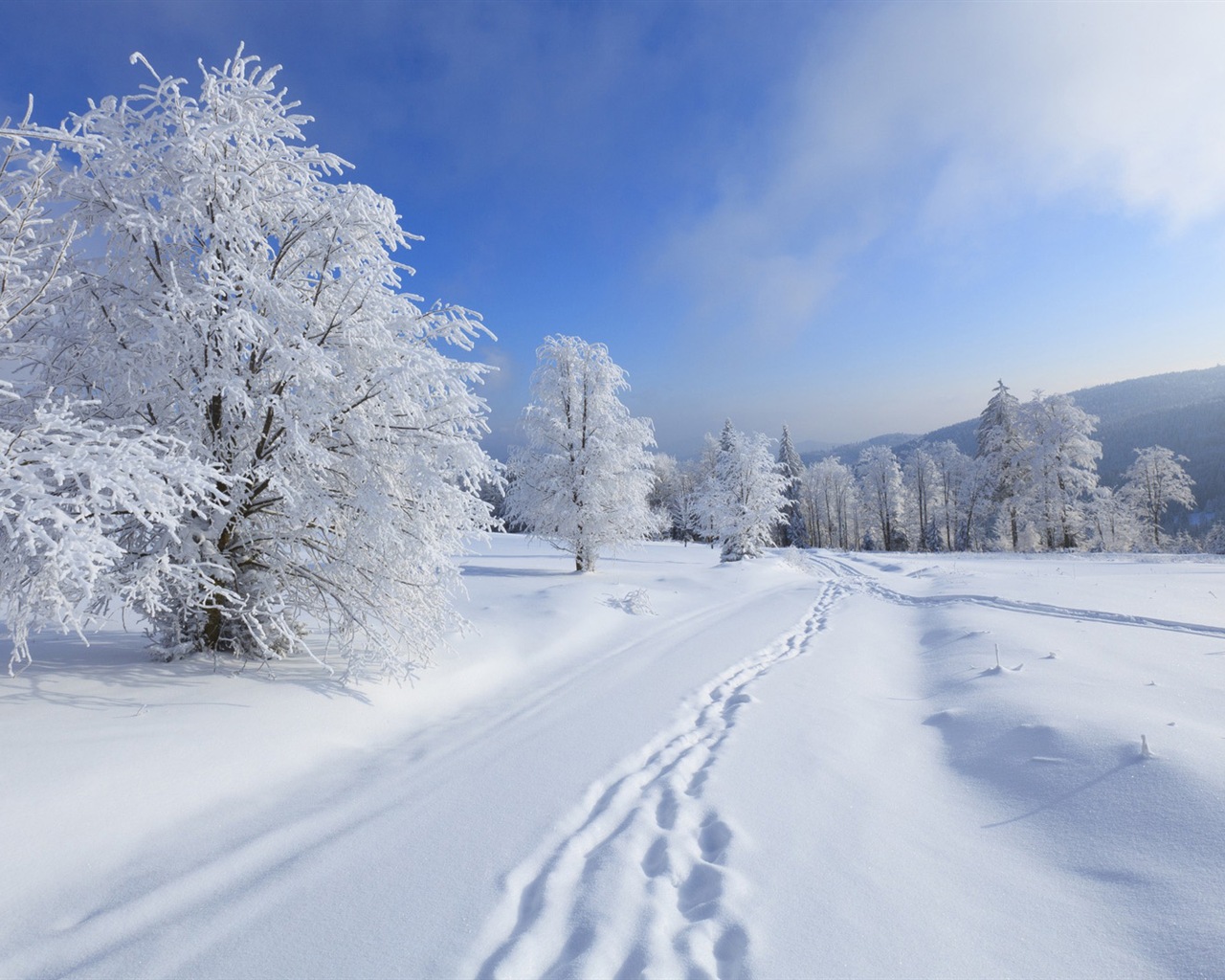 冬の雪の美しい風景のHDの壁紙 #14 - 1280x1024