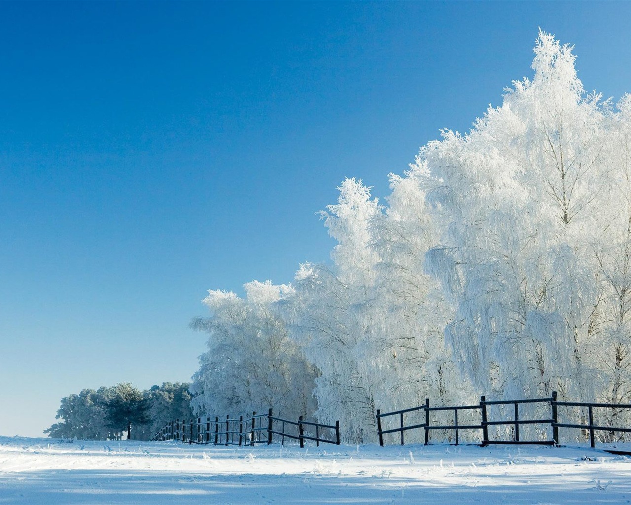 冬の雪の美しい風景のHDの壁紙 #15 - 1280x1024