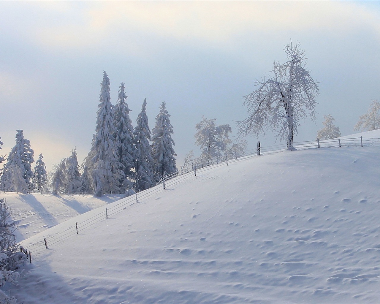 Zimní sníh Nádherná příroda HD tapety na plochu #16 - 1280x1024