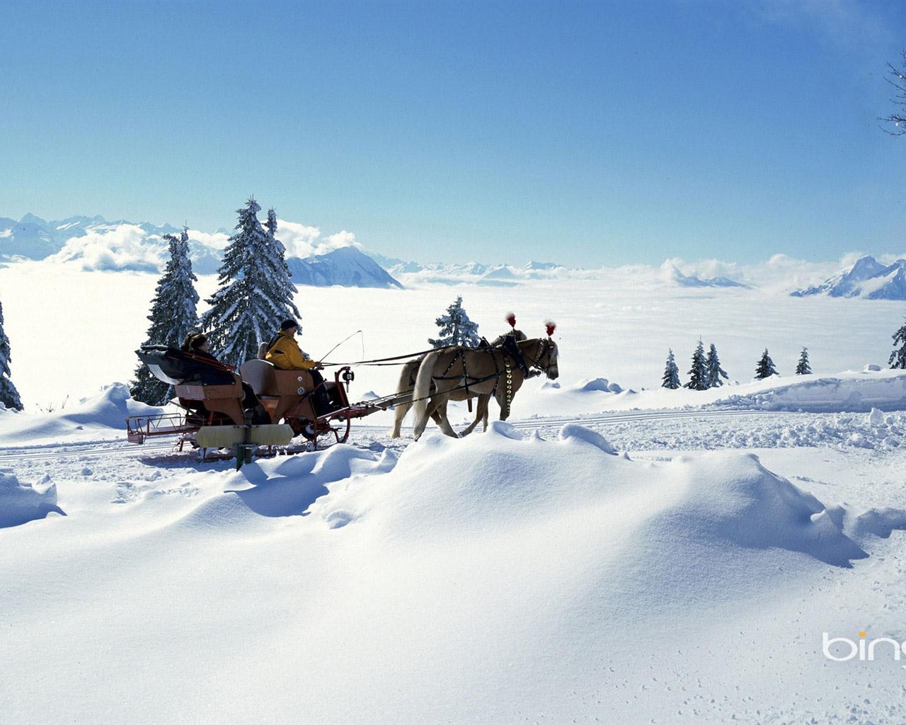 冬の雪の美しい風景のHDの壁紙 #17 - 1280x1024