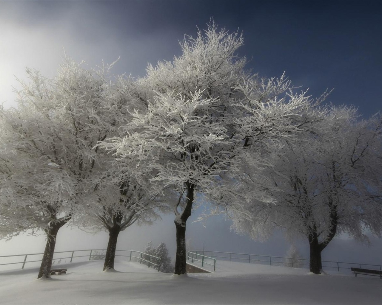 冬の雪の美しい風景のHDの壁紙 #18 - 1280x1024