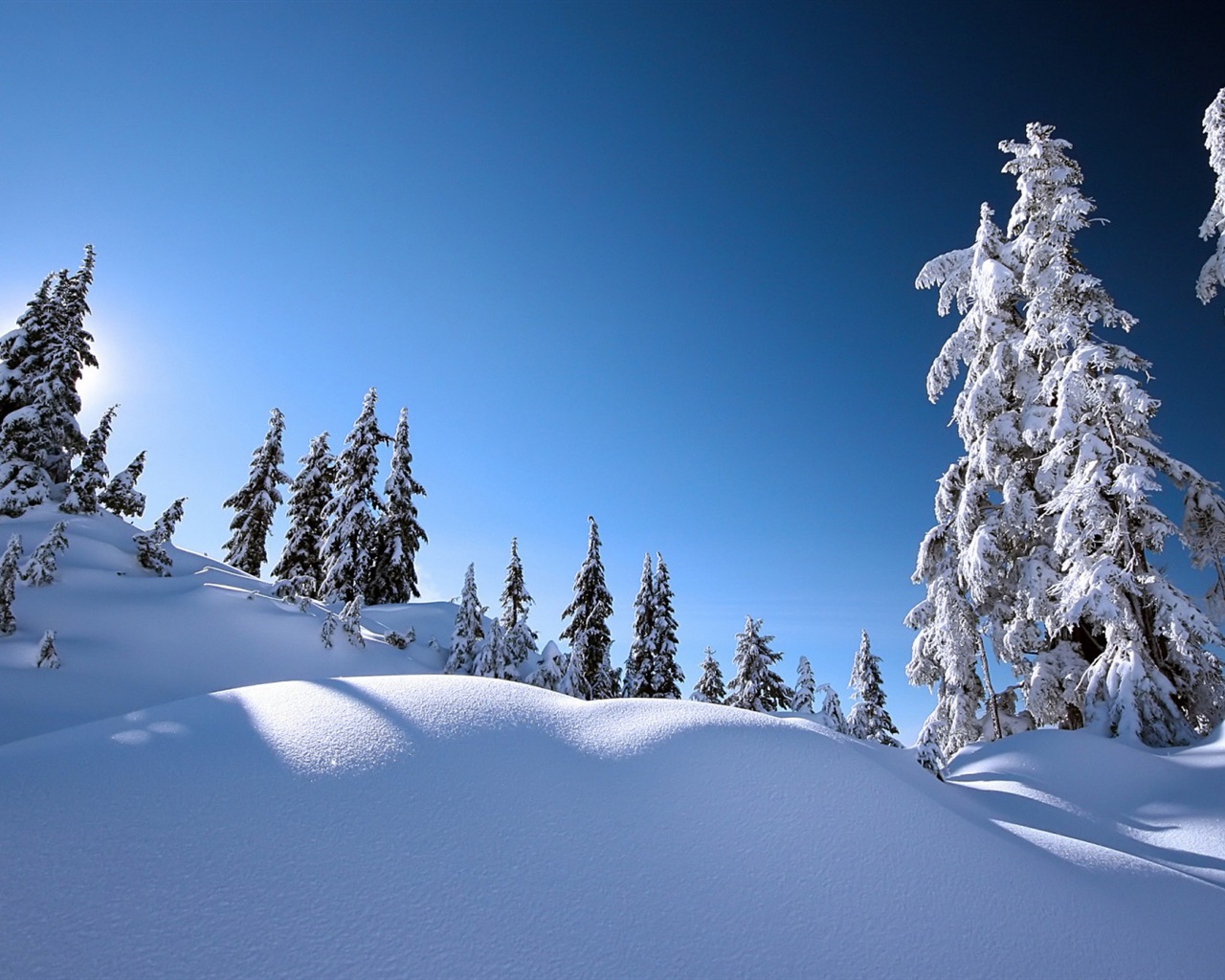 冬の雪の美しい風景のHDの壁紙 #19 - 1280x1024