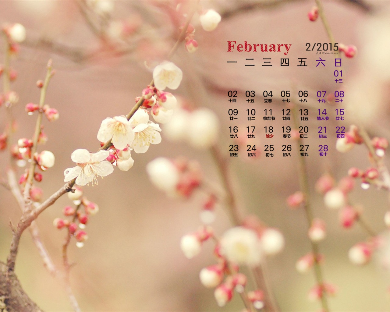 February 2015 Calendar wallpaper (1) #12 - 1280x1024