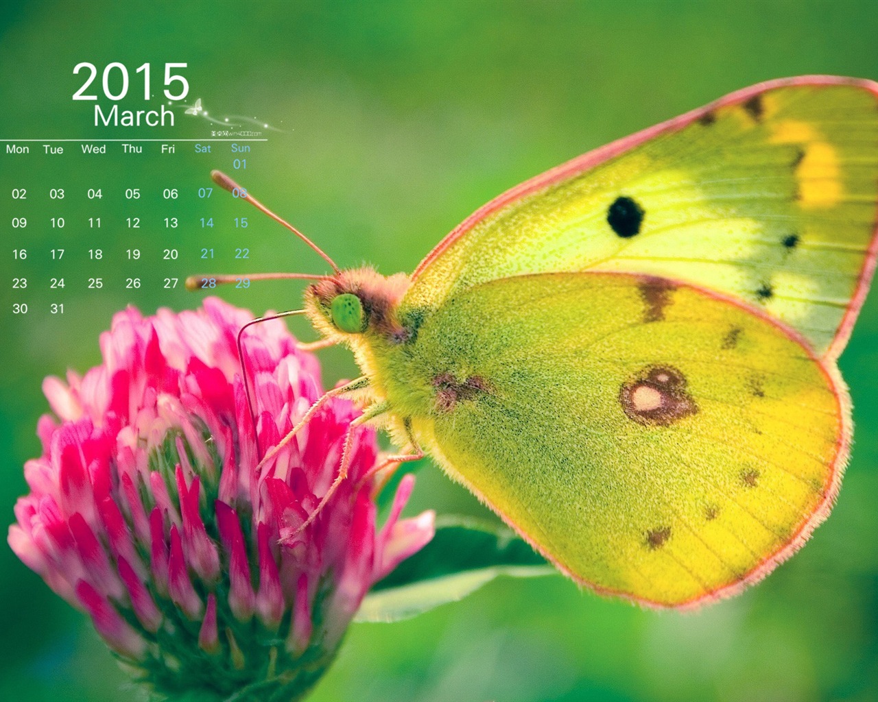 Март 2015 Календарь обои (1) #1 - 1280x1024