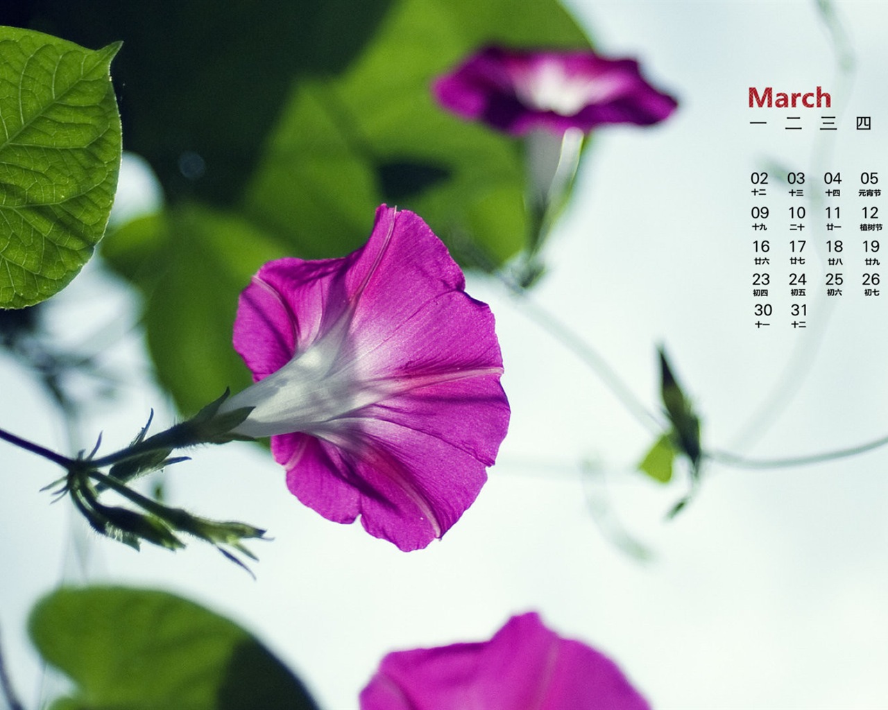 März 2015 Kalender Tapete (1) #14 - 1280x1024