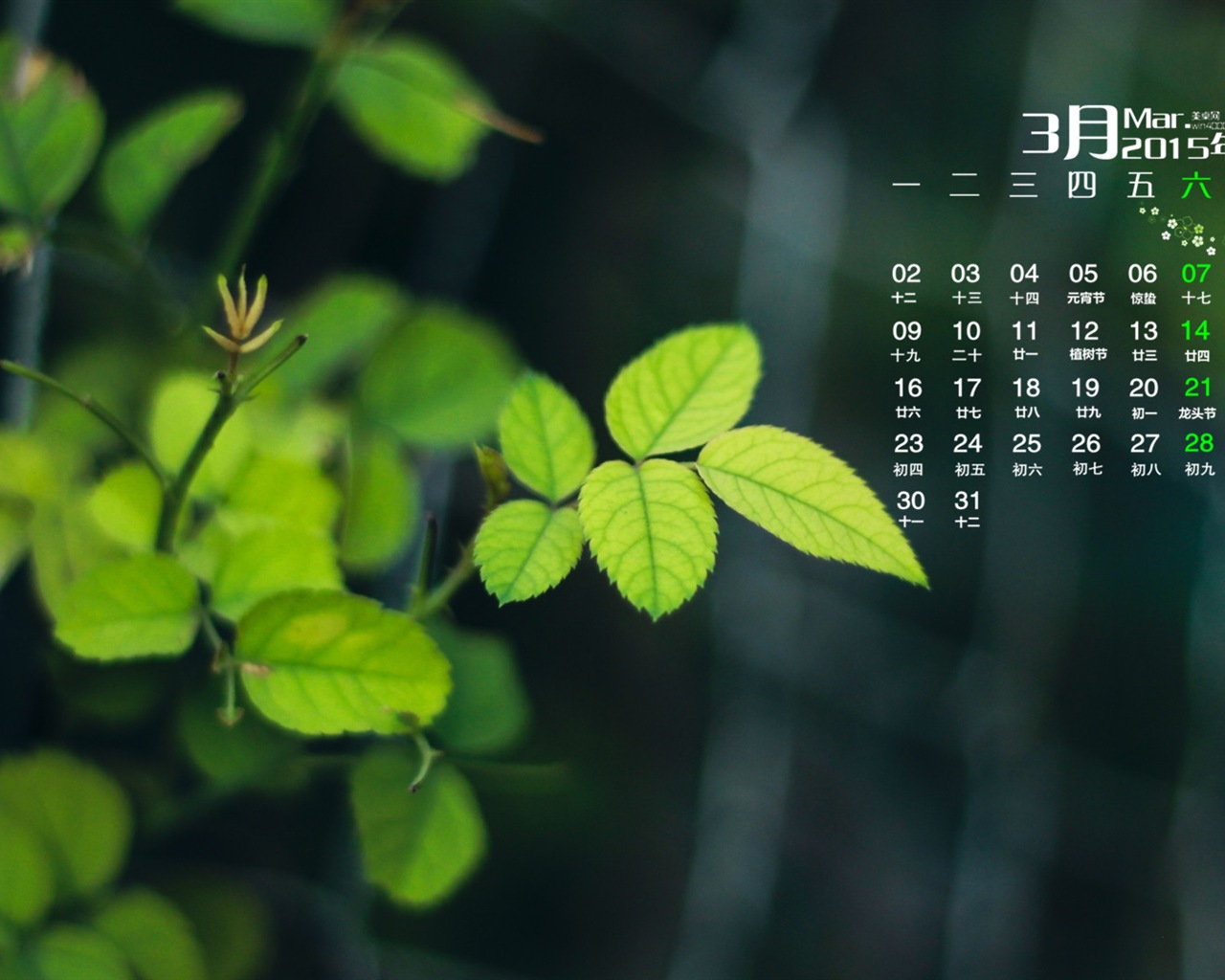 März 2015 Kalender Tapete (1) #19 - 1280x1024