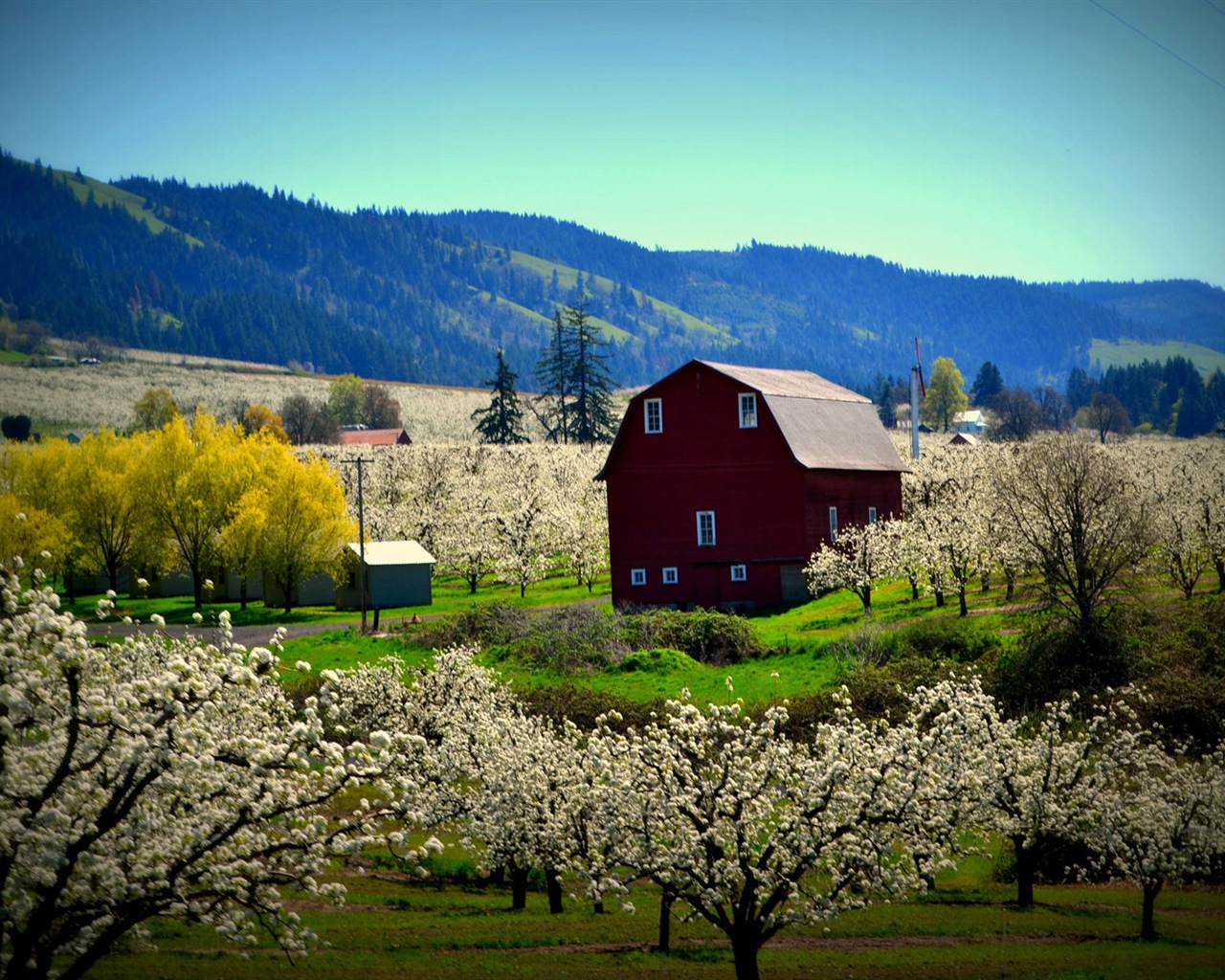 Rural scenery, Windows 8 HD wallpapers #13 - 1280x1024
