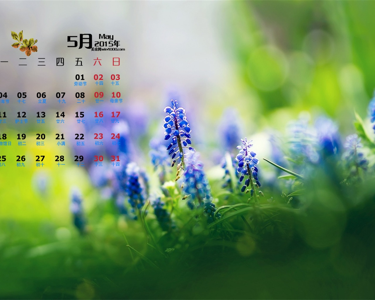 Май 2015 календарный обои (1) #16 - 1280x1024