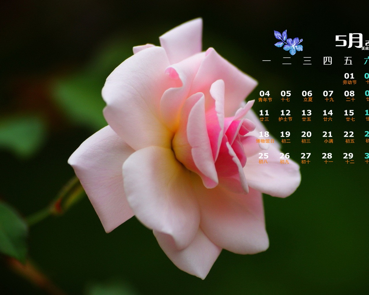Mai 2015 calendar fond d'écran (1) #18 - 1280x1024