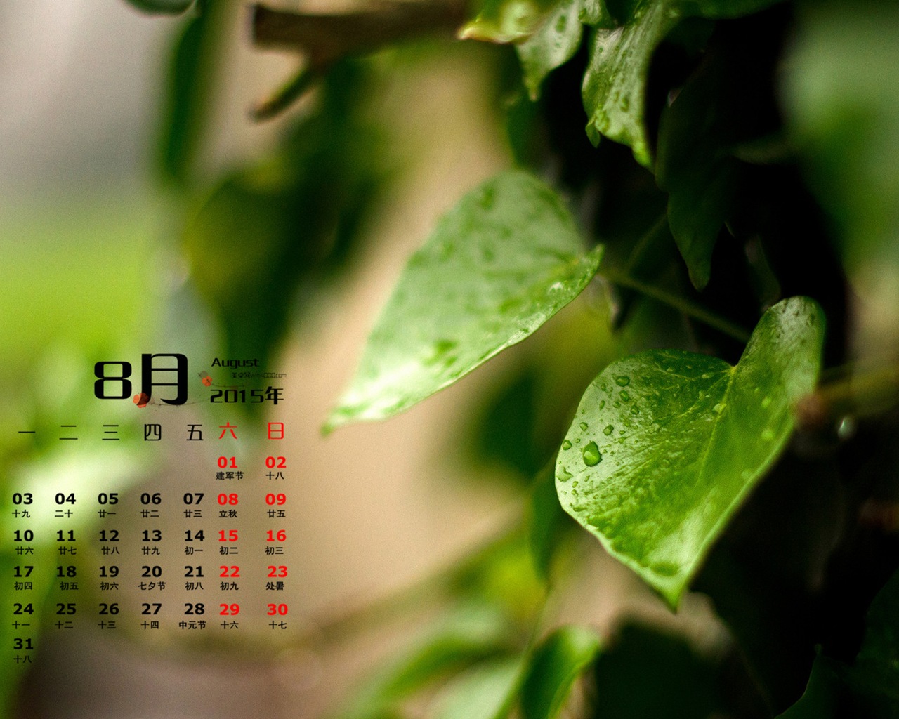 08. 2015 kalendář tapety (1) #11 - 1280x1024
