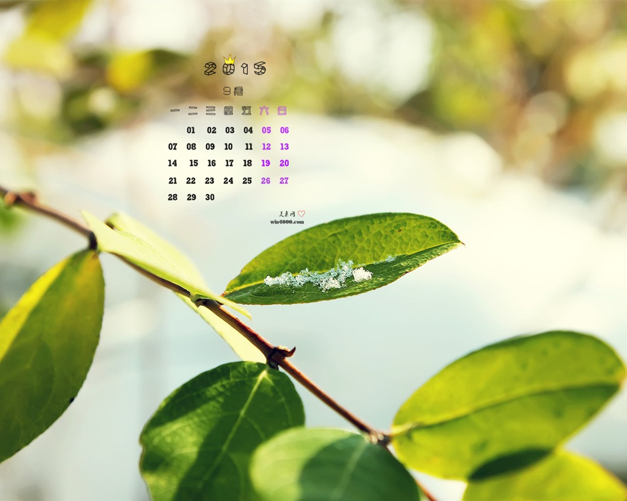 September 2015 Kalender Wallpaper (1) #9 - 1280x1024