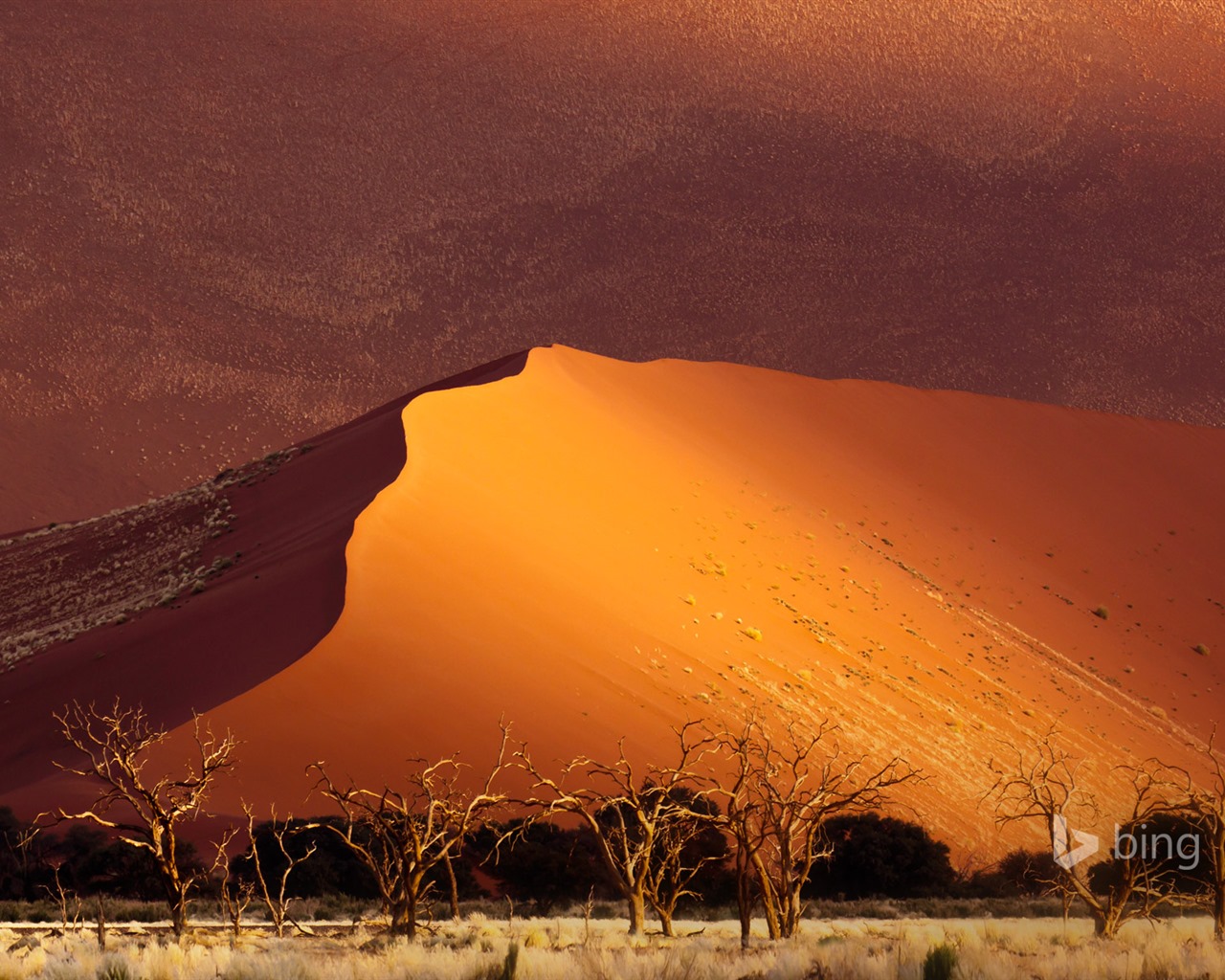 De mayo de 2015 fondos de pantalla HD Bing #31 - 1280x1024