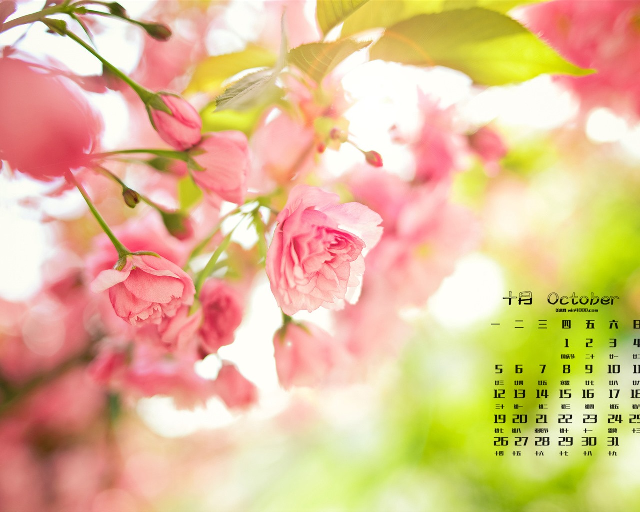 Října 2015 kalendář tapety (1) #9 - 1280x1024