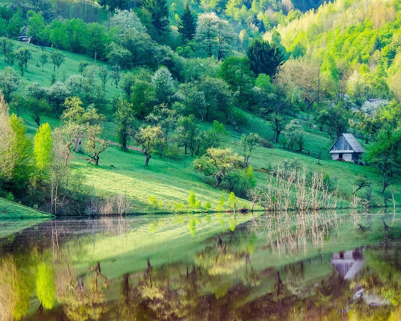 나무, 산, 물, 일출과 일몰, 자연 풍경의 HD 배경 화면 #24 - 1280x1024