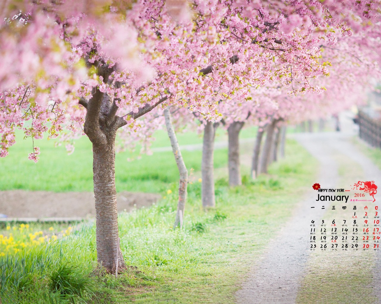 Januar 2016 Kalender Wallpaper (1) #7 - 1280x1024