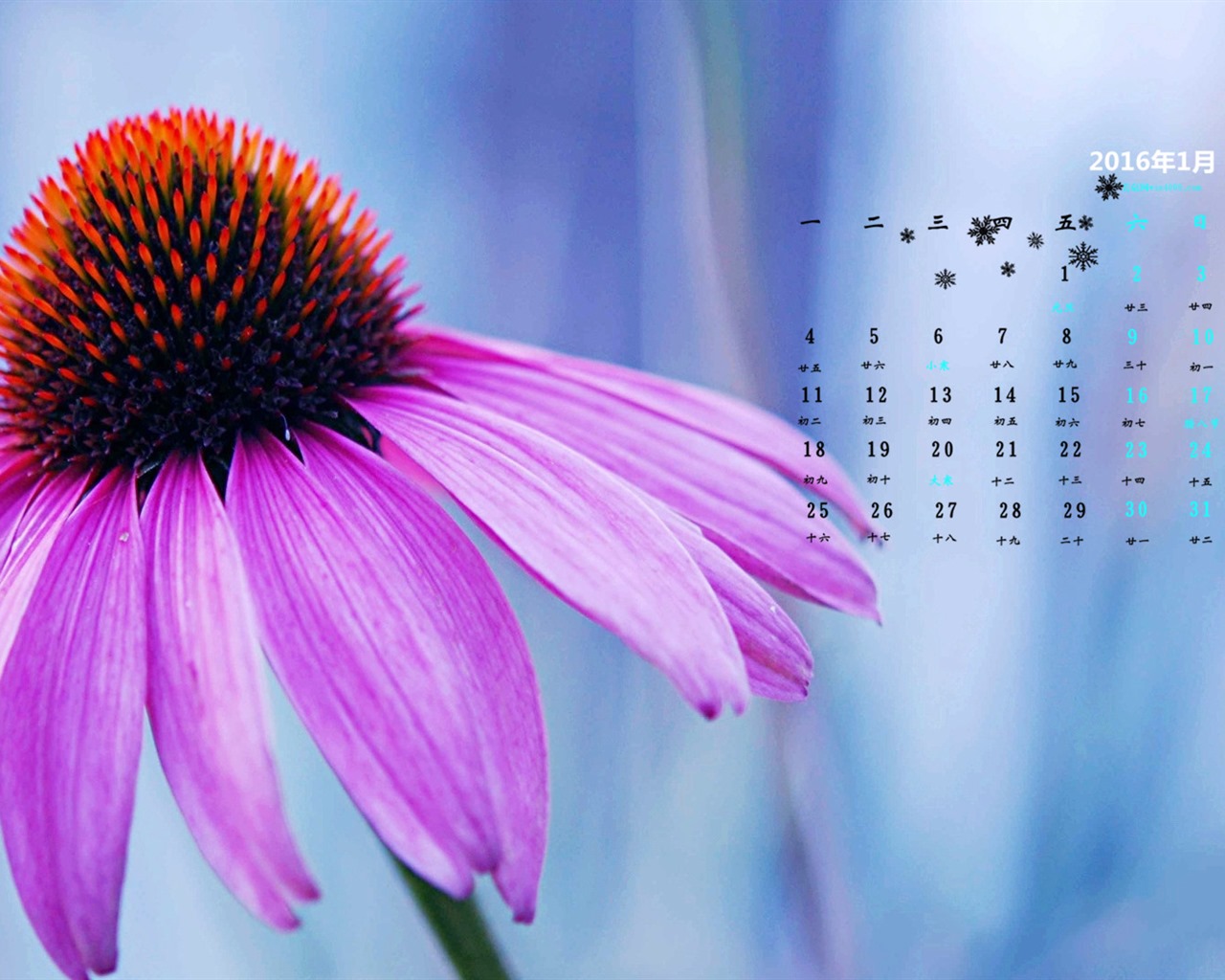 January 2016 calendar wallpaper (2) #5 - 1280x1024