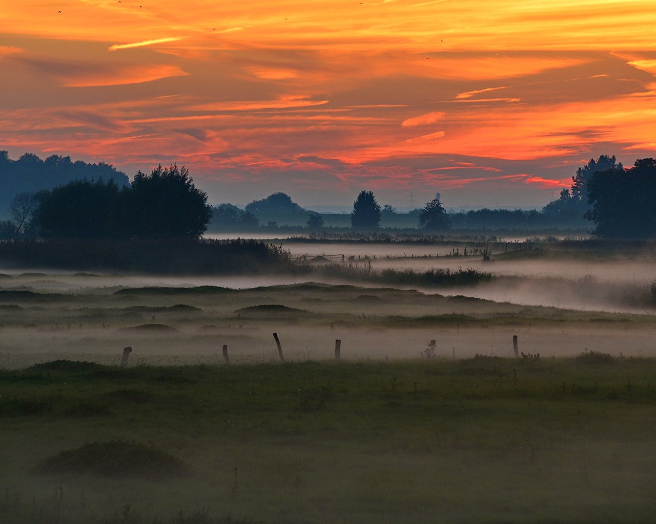 Juin 2016 fonds d'écran Bing thème HD (2) #4 - 1280x1024