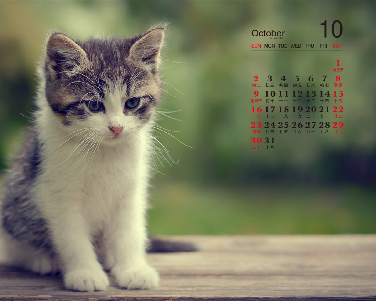 Октябрь 2016 обои календарь (1) #8 - 1280x1024