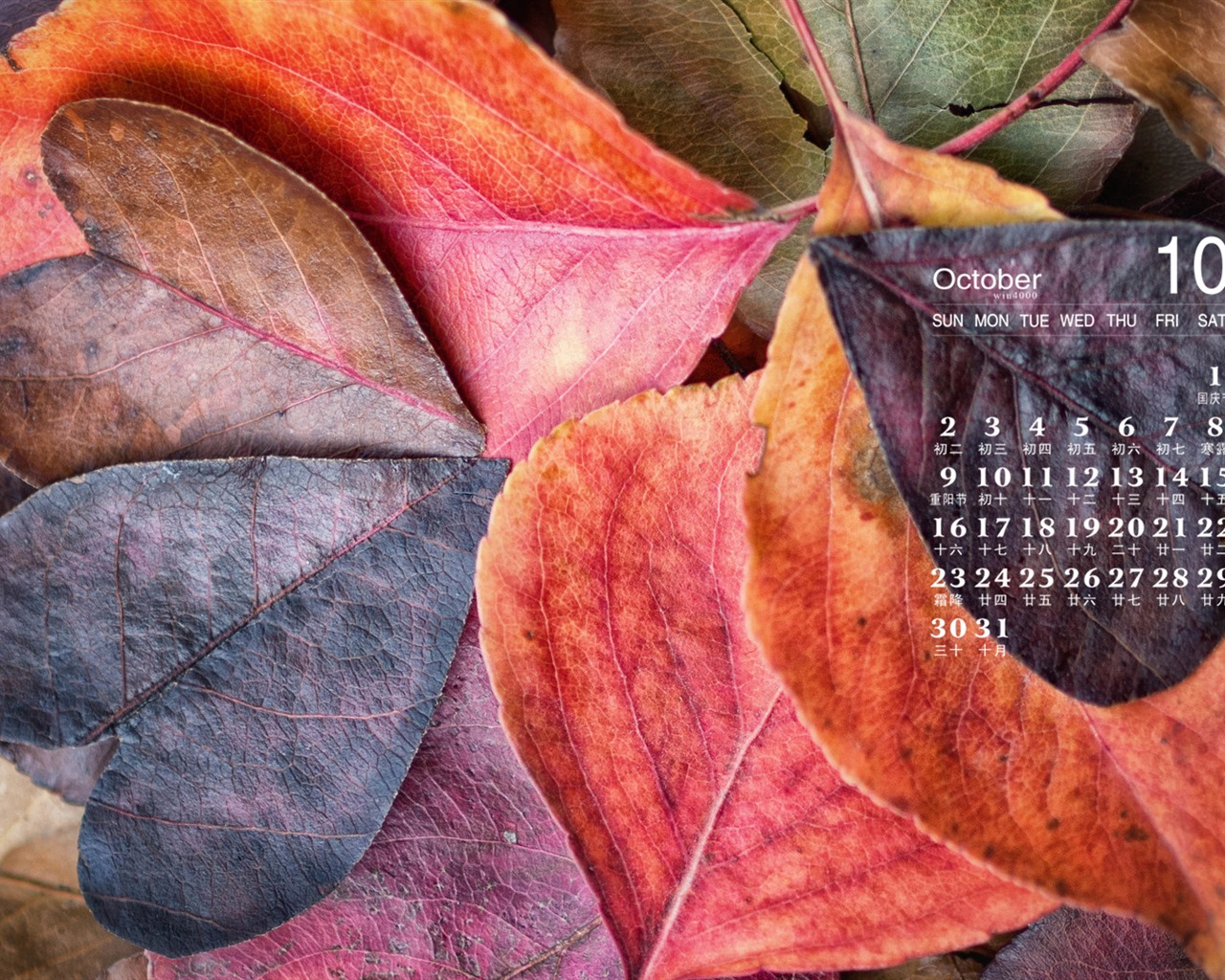 Октябрь 2016 обои календарь (1) #9 - 1280x1024