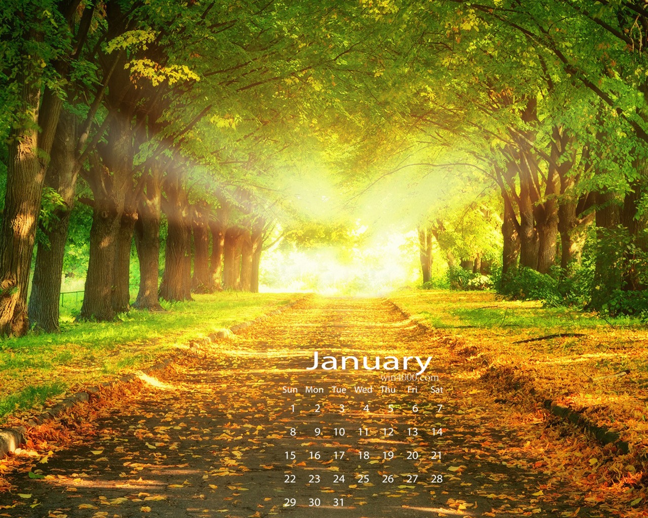 Januar 2017 Kalender Hintergrund (1) #2 - 1280x1024