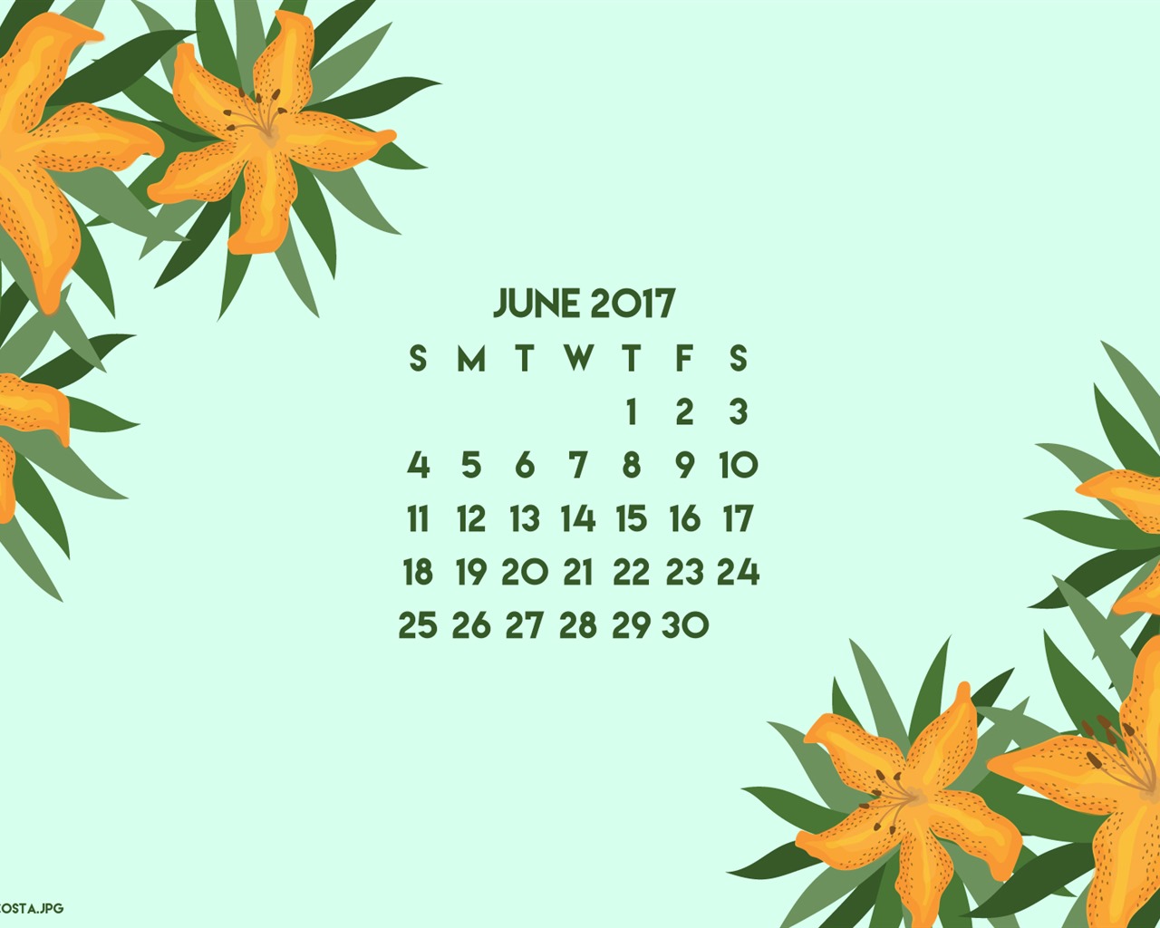 2017年6月のカレンダーの壁紙 #3 - 1280x1024