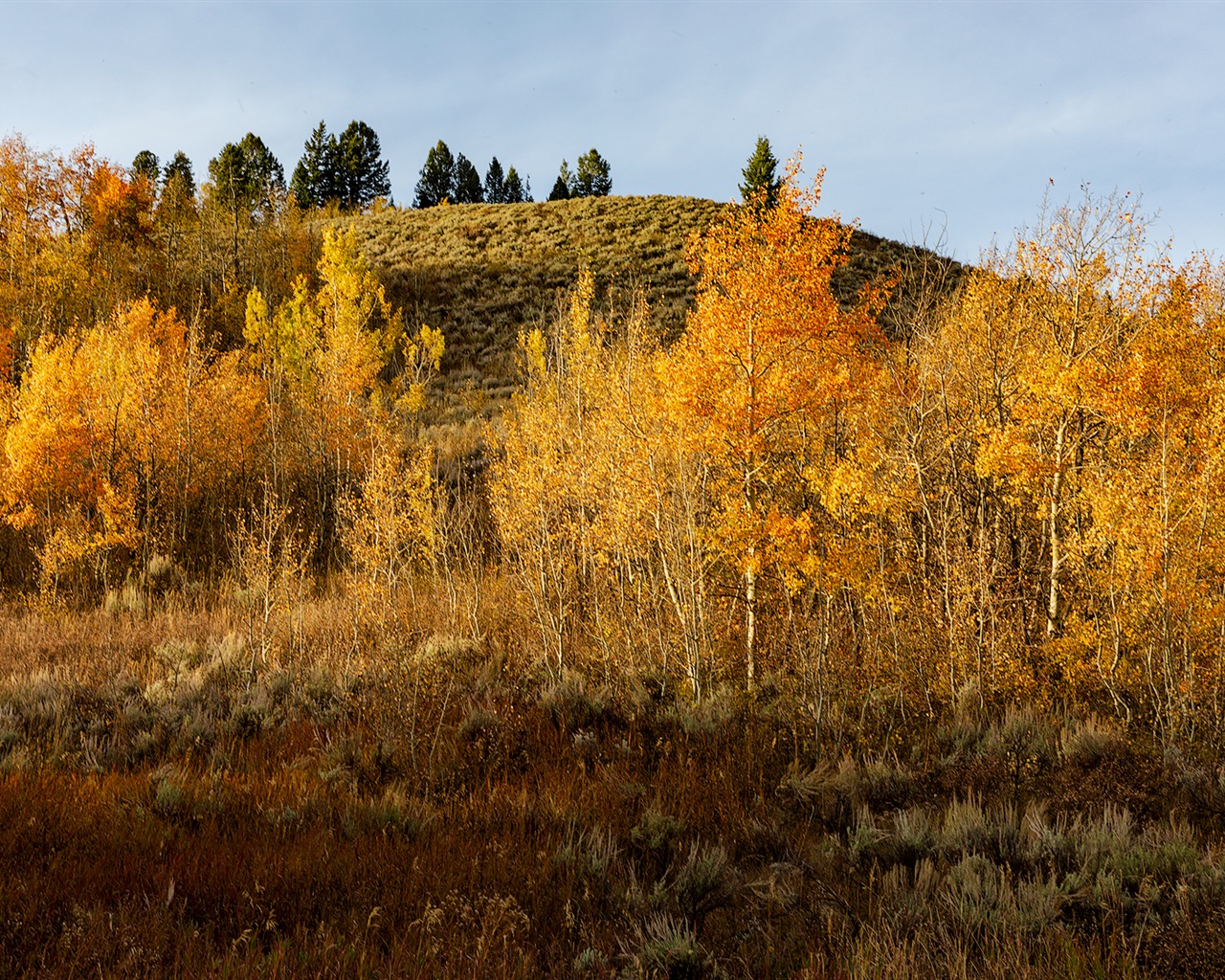 USA Grand Teton národní park přírodní krajiny HD tapety #14 - 1280x1024