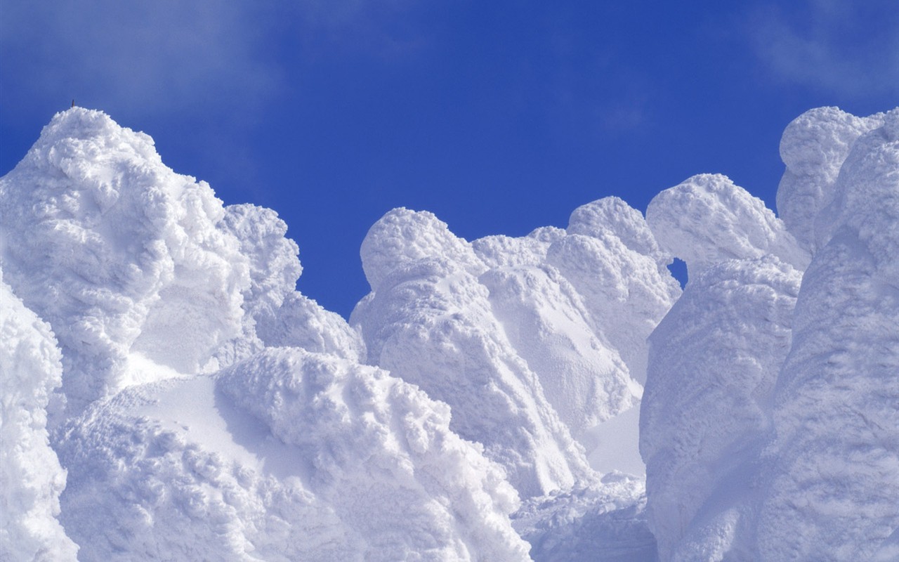Snow Wald Wallpaper (2) #12 - 1280x800