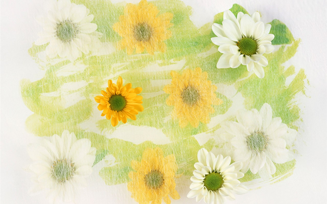 Květ Tapety na plochu výběr (1) #39 - 1280x800