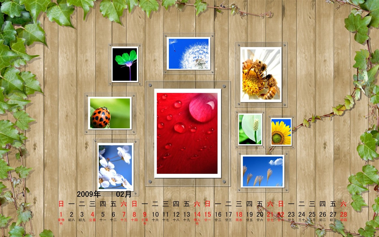 PaperArt 09 años en el fondo de pantalla de calendario febrero #24 - 1280x800