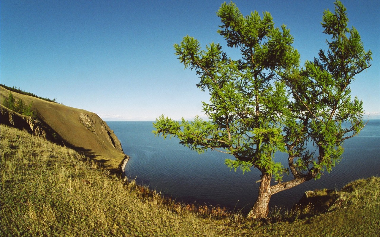 Hermoso paisaje natural en Siberia #1 - 1280x800