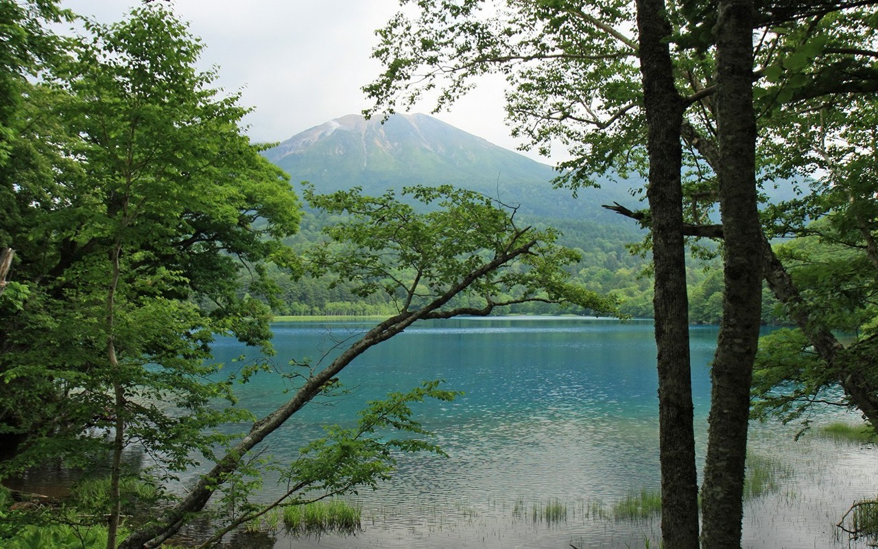 Hokkaido ländlicher Umgebung #9 - 1280x800